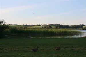 Wallersee Grosskonzert 2012 069
