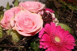 Caeciliakonzert 2012 039