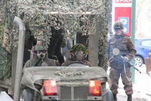 Faschingsumzug 2013 033