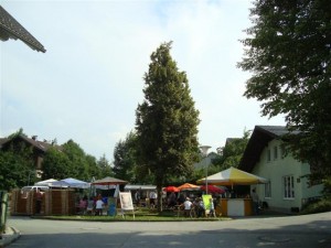 Gartenfest 2013 134