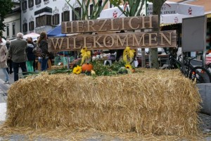 Rupertistadtfest Neumarkt 2013 048