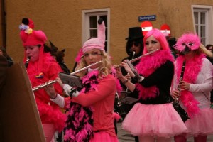 Faschingsumzug 2014 042