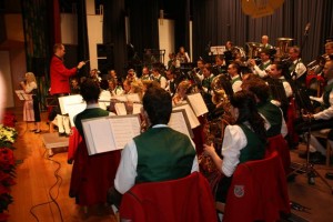 Caeciliakonzert 2014 065