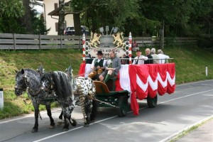 Feuerwehrfest_Neumarkt_2015_065