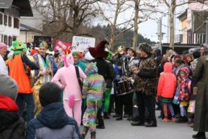Faschingsumzug 2019 044