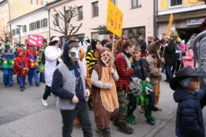 Faschingsumzug 2019 056