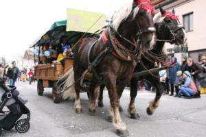 Faschingsumzug 2019 085