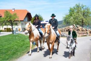 Georgiritt Sommerholz 2019 032