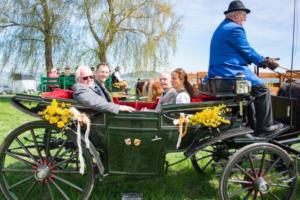 Georgiritt Sommerholz 2019 048