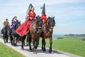 Georgiritt Sommerholz 2019 053