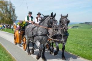 Georgiritt Sommerholz 2019 059