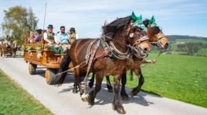 Georgiritt Sommerholz 2019 060