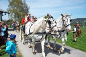 Georgiritt Sommerholz 2019 062