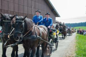 Georgiritt Sommerholz 2019 070