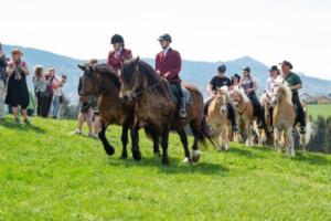 Georgiritt Sommerholz 2019 077