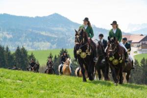 Georgiritt Sommerholz 2019 078