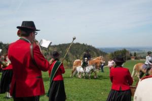 Georgiritt Sommerholz 2019 090