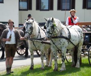 Georgiritt Sommerholz 2019 099