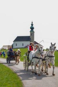 Georgiritt Sommerholz 2019 122