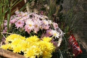 Rupertistadtfest Neumarkt 2019 070