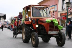 Faschingsumzug 2020 043