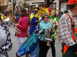Faschingsumzug 2020 081